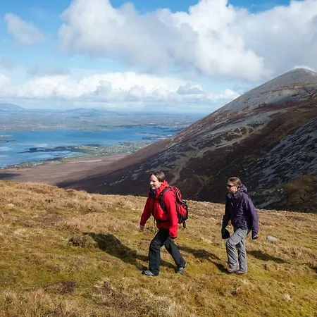 ホテル ニューポート 3*